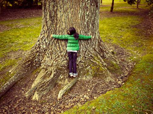 Kentucky Roots Campaign Educates and Motivates People to Care for Trees