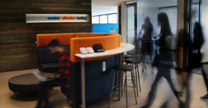 cel office