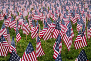A large field filled with numerous small American flags, all planted in the grass, creating a patriotic display.