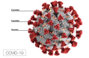 coronavirus lores diagram