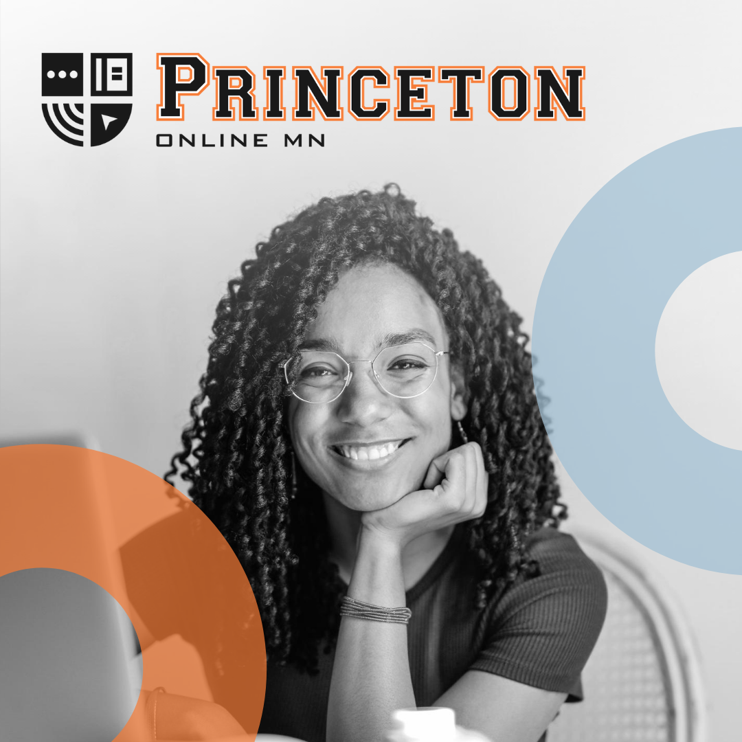 princeton online mn