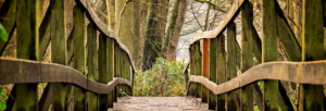 A wooden footbridge