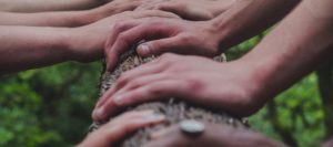 hands on a tree