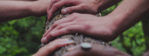 hands and tree