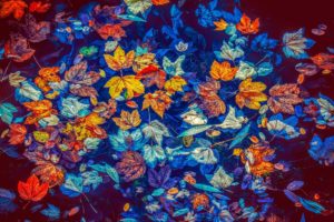 multicolor leaves painting