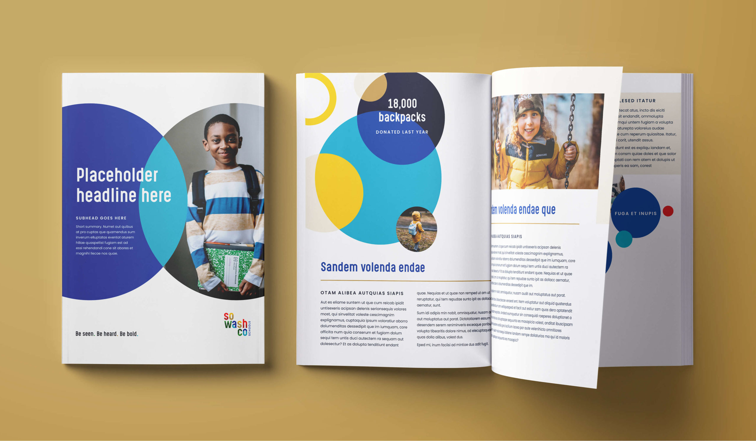 folder mockup for SoWashCo Schools brand