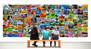 people on bench in collage gallery