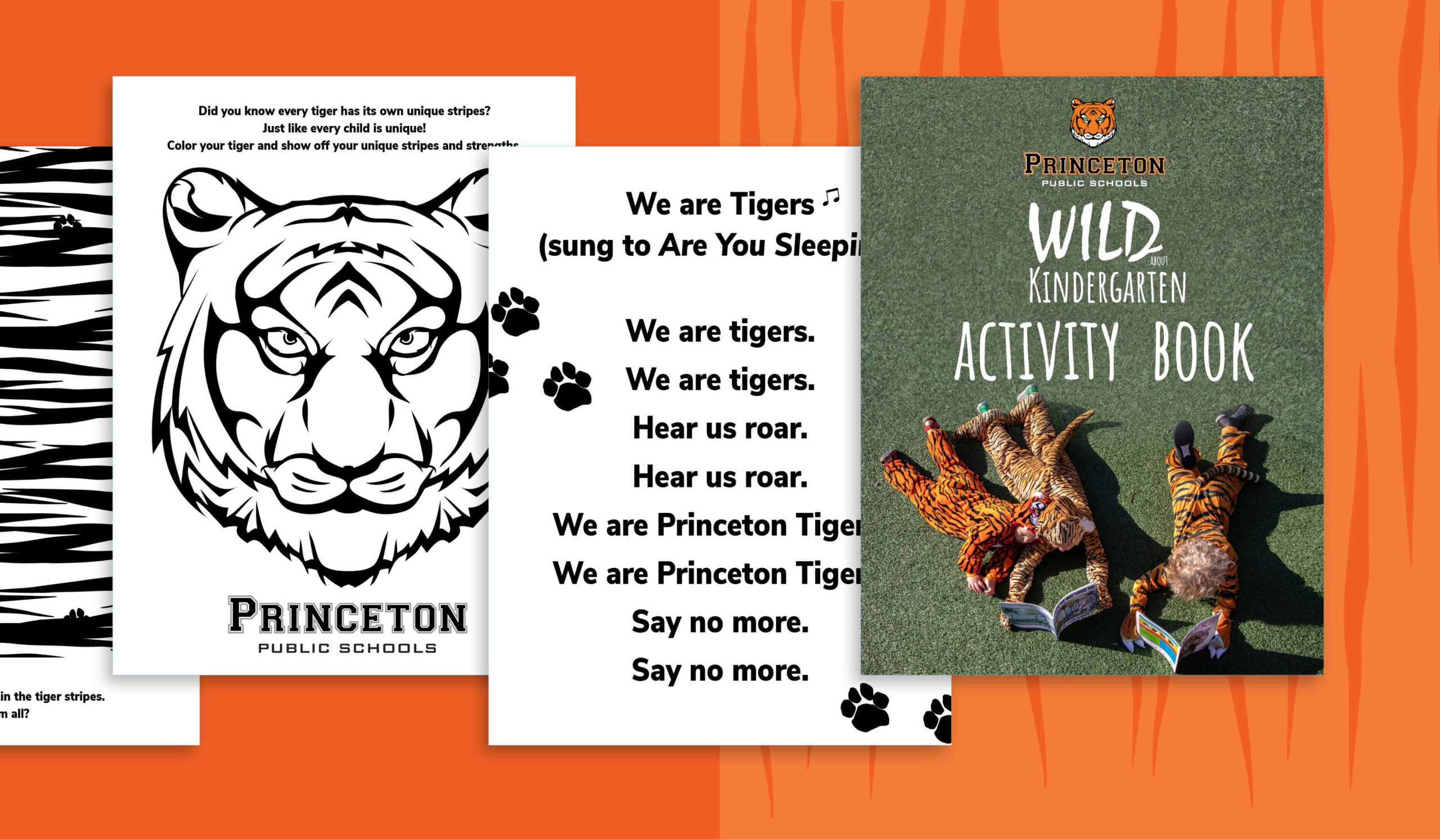 wild about kindergarten activity book princeton