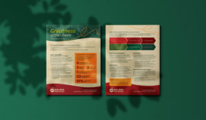 Flyers for Salina public schools