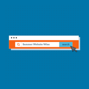 Computer search bar showing "summer website wins"