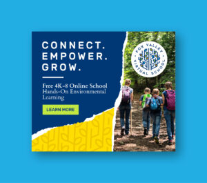 digital ad - connect empower grow at fox valley virtual school