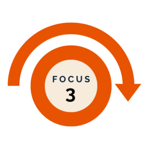 focus 3