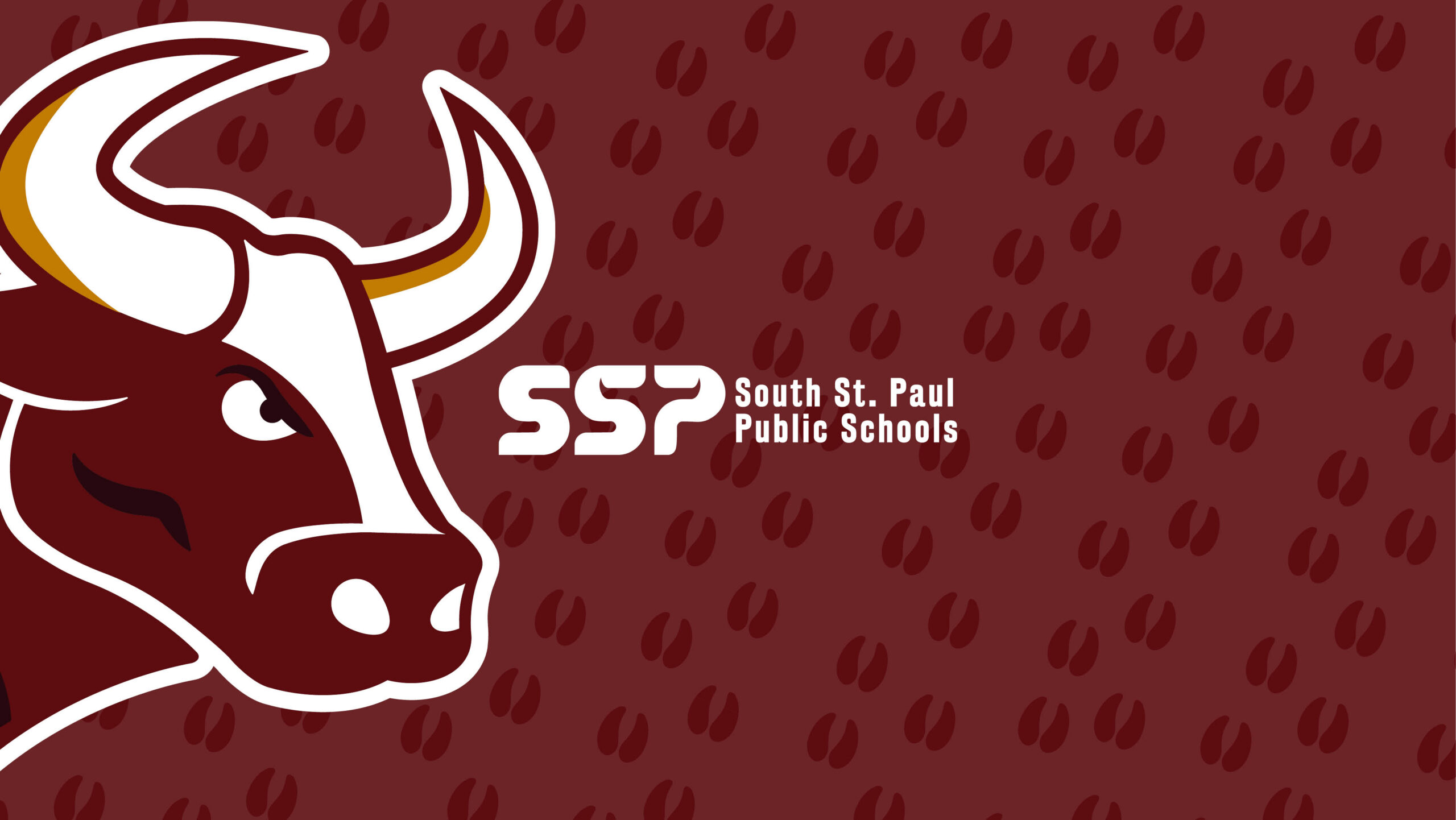 SSPPS mascot on patterned background