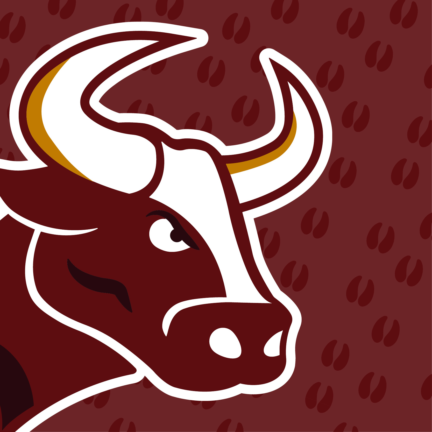 Refreshing a Legacy School Brand and Mascot